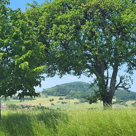 Landgasthaus Sockenbacher Hof 3*